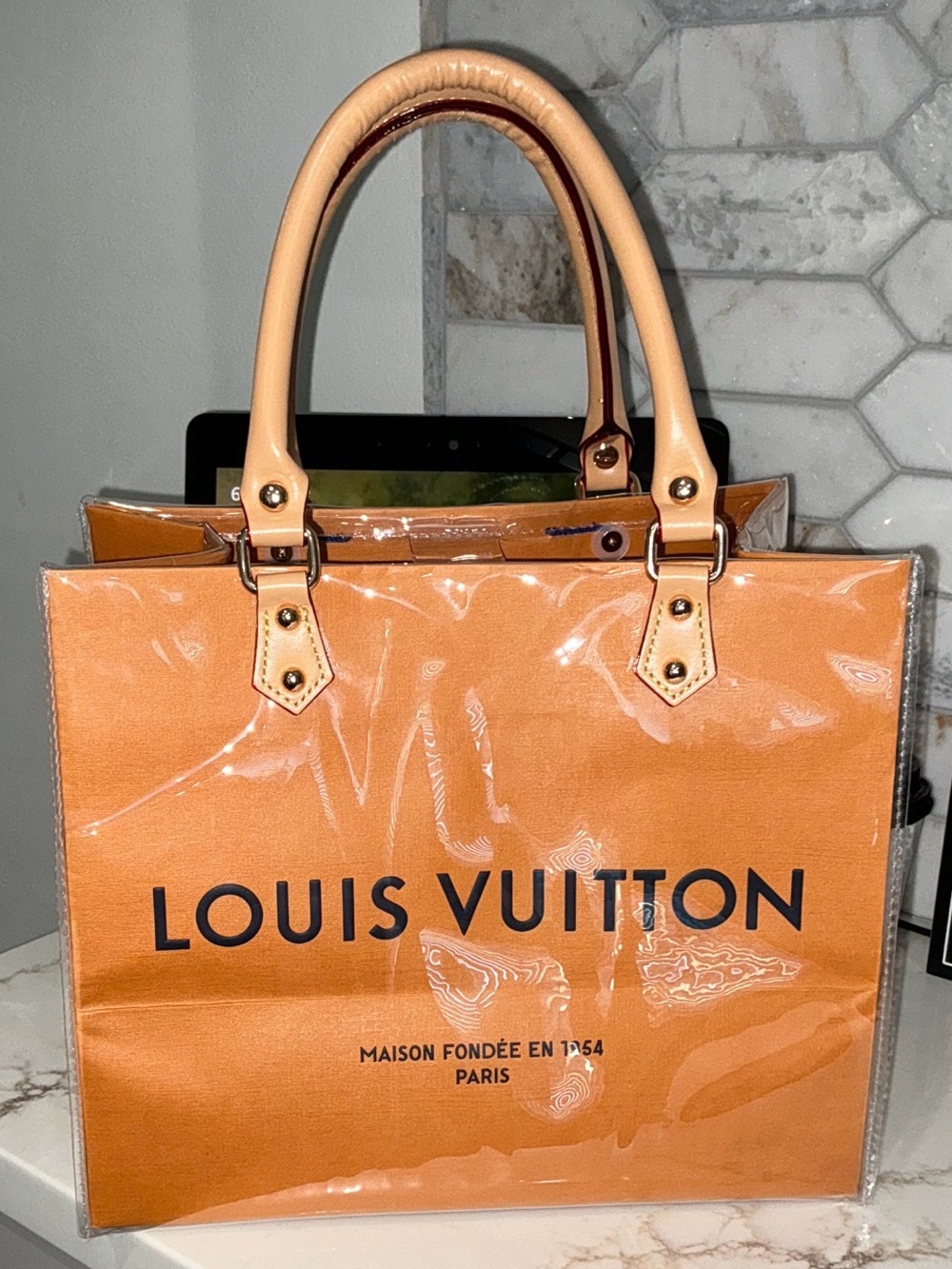 Louis Vuitton Paper Shopping Bag with PVC Protector